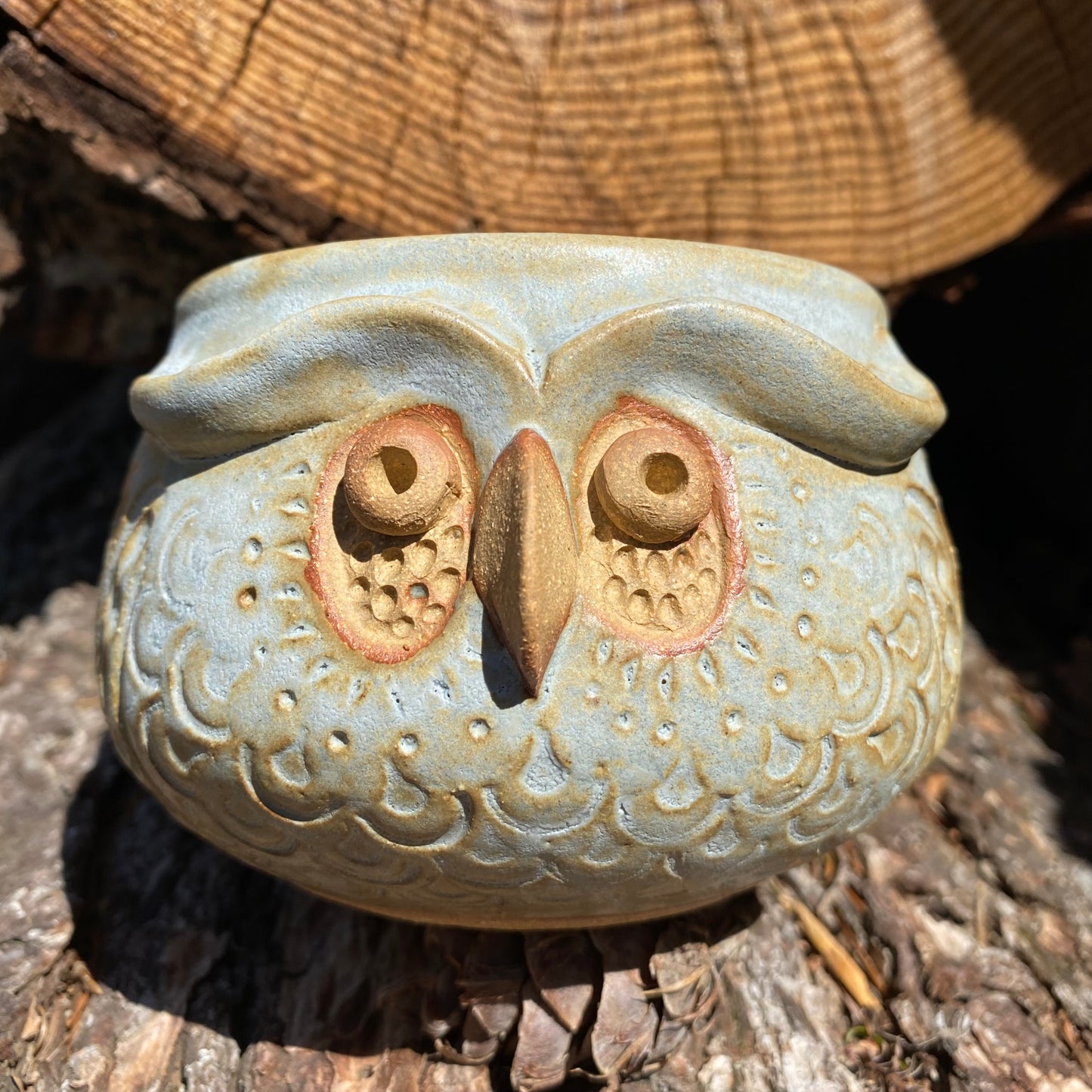 Bohemian Owl Mug- Matte Sage Green